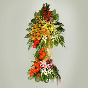 Alternative view of Mua May Bán Đắt 15