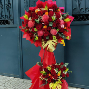 HOA KHAI TRƯƠNG 22