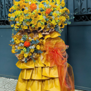 HOA KHAI TRƯƠNG 24