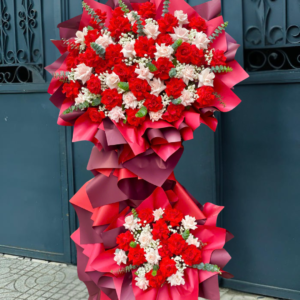 HOA KHAI TRƯƠNG 27