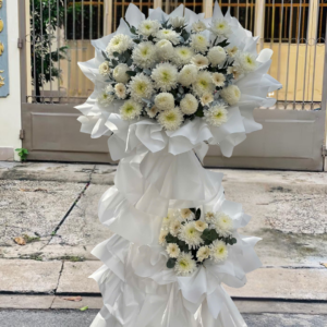 hoa kính viếng v8