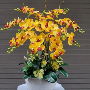 Bình hoa lan hồ điệp vàng nhụy hồng